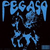 PEGASO (feat. Francyexe, KASH80016 & Speedy) - Single - Altre Frequenze