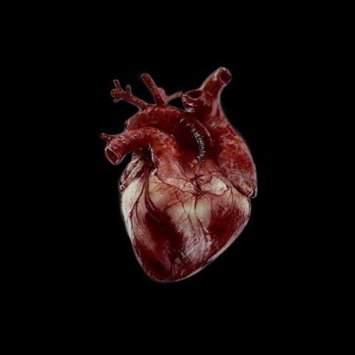 Hard 2 Love - Single