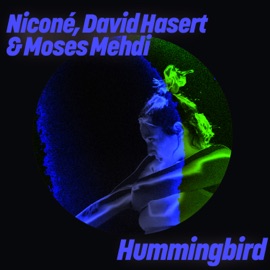 Hummingbird (Paons Remix) Niconé, David Hasert & Moses Mehdi
