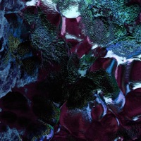 Platform C (feat. Lara) - Single - Erkalium