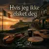 Hvis jeg ikke elsket deg