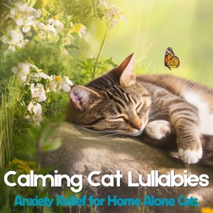 Calming Cat Lullabies - Anxiety Relief for Home Alone Cats