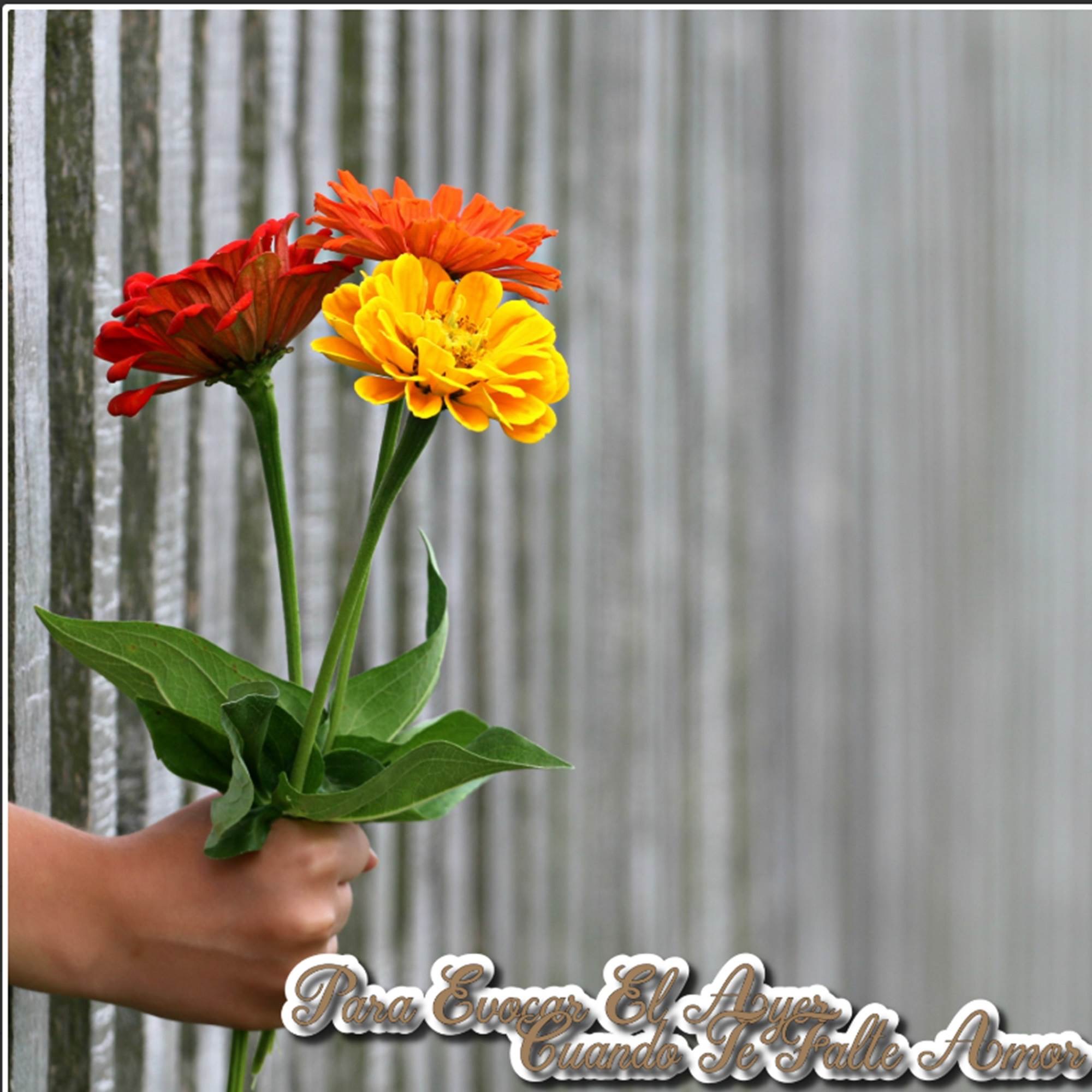 Para Evocar El Ayer / Cuando Te Falte Amor