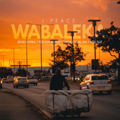 Wabaleka (feat. Senzo Afrika, Poshani Mzansi, Waka, Pearl Mia & Nerl Ellie) - Single