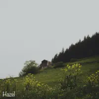 Hazel — nate2timez