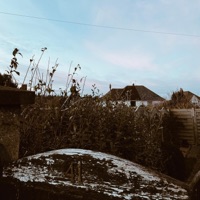 Beach Front (feat. Cineraria) - Single - Kaynes