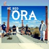 Origin Roots Aotearoa O.R.A - Ko tāua