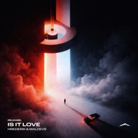 Is It Love - Single - Hrederik & MALCEVS