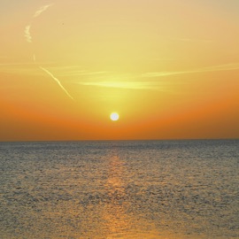 praise you (feat. OMAR) abu fancy