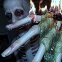 nobody - Single - Cat Soup