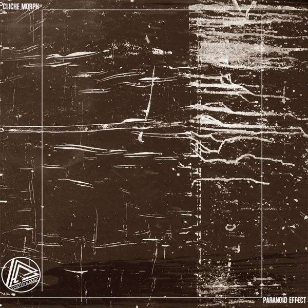 Paranoid Effect