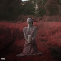 Chasing Shadows - Single - Zero 9:36 & Atreyu