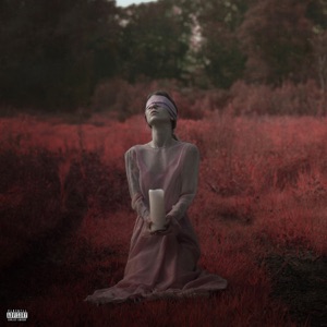 Chasing Shadows - Single