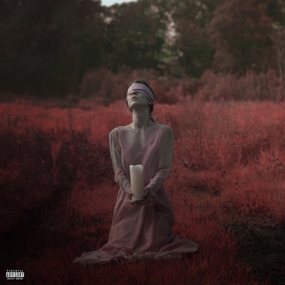 Chasing Shadows - Single