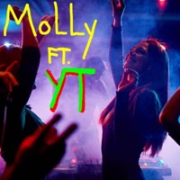Molly (feat. YT) - Single - VincentS