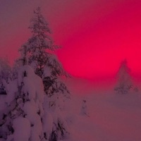 night - Single - lunagrace