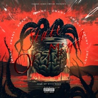 State Of Mind - EP - 2many Many Mitch