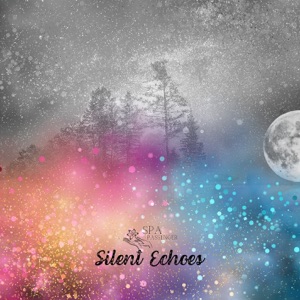 Silent Echoes: Harp in the Hush