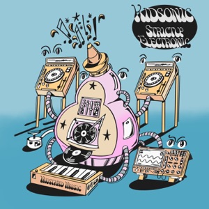 Strictly Electronic LP