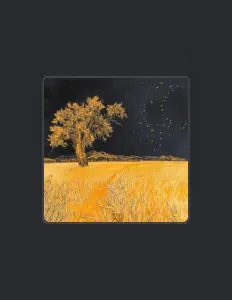 shapeofbeatz: песни, клипы, биография, даты выступлений и многое другое.