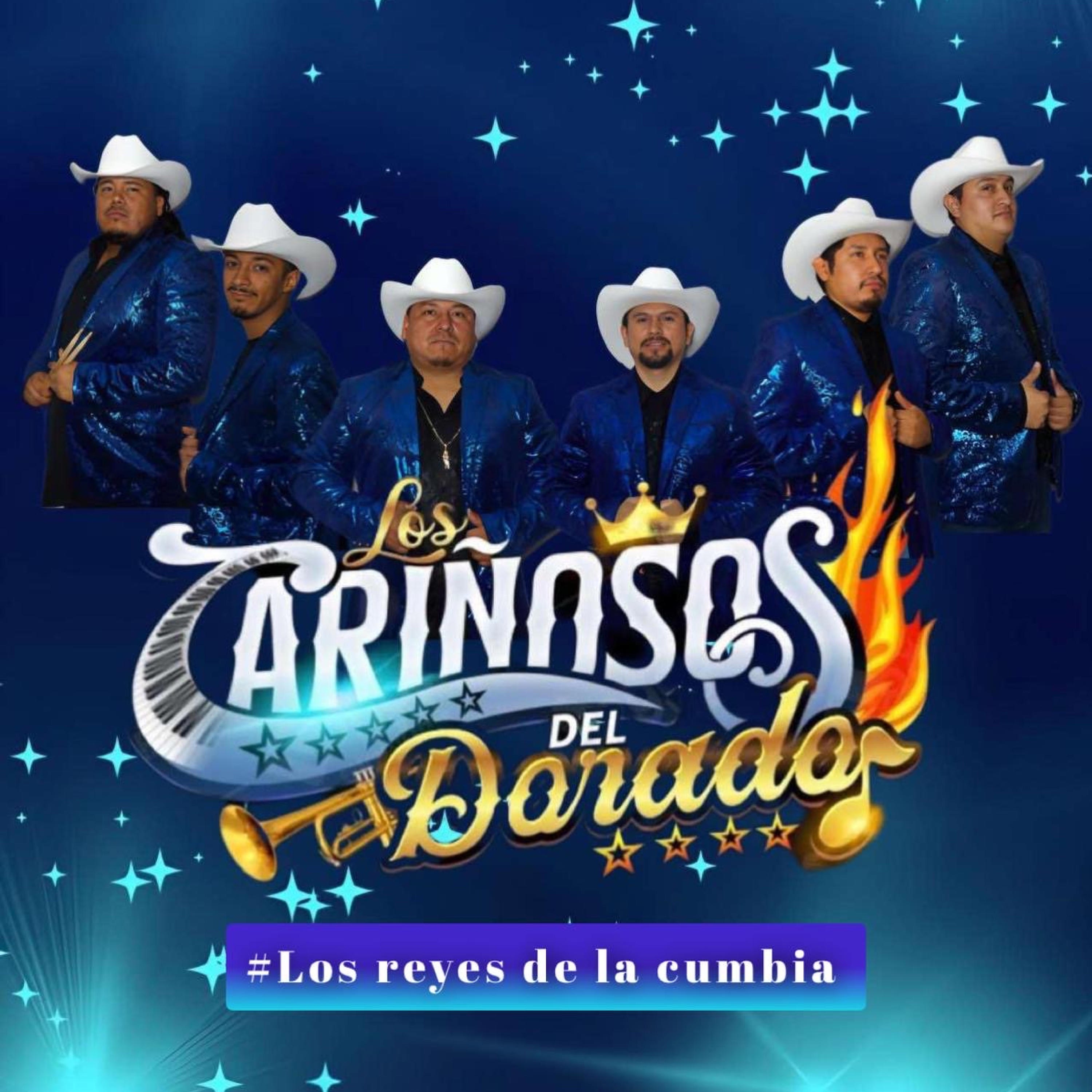 Los Cariñosos del Dorado - Cumbia de los Pajaritos