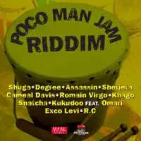 TOO MUCH BULL PON DE DANCE FLOOR — ROMAIN VIRGO