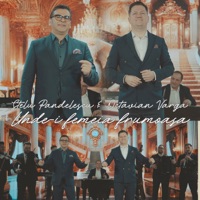Unde-i femeia frumoasa (feat. Octavian Varga) - Single - Stelu Pandelescu