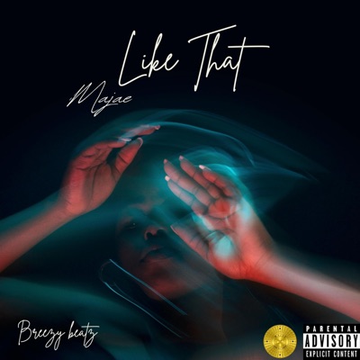 LIKE THAT (feat. Breezy Beatz) - Single