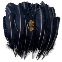 Howling Flower — David Eugene Edwards