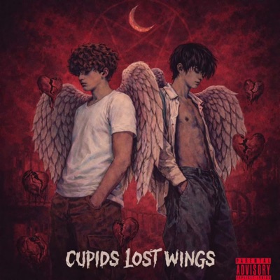 Cupids Lost Wings