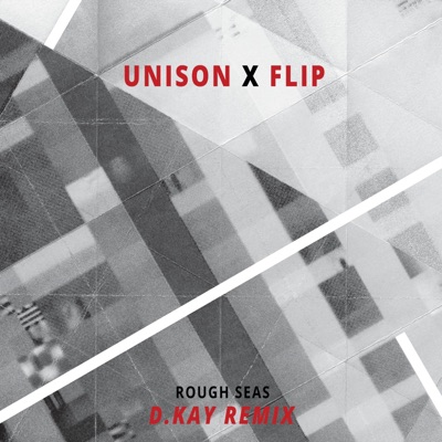 Rough Seas (Dkay Remix) - Single