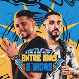 Entre Idas e Vidas js o mão de ouro & Mc Dom Lp