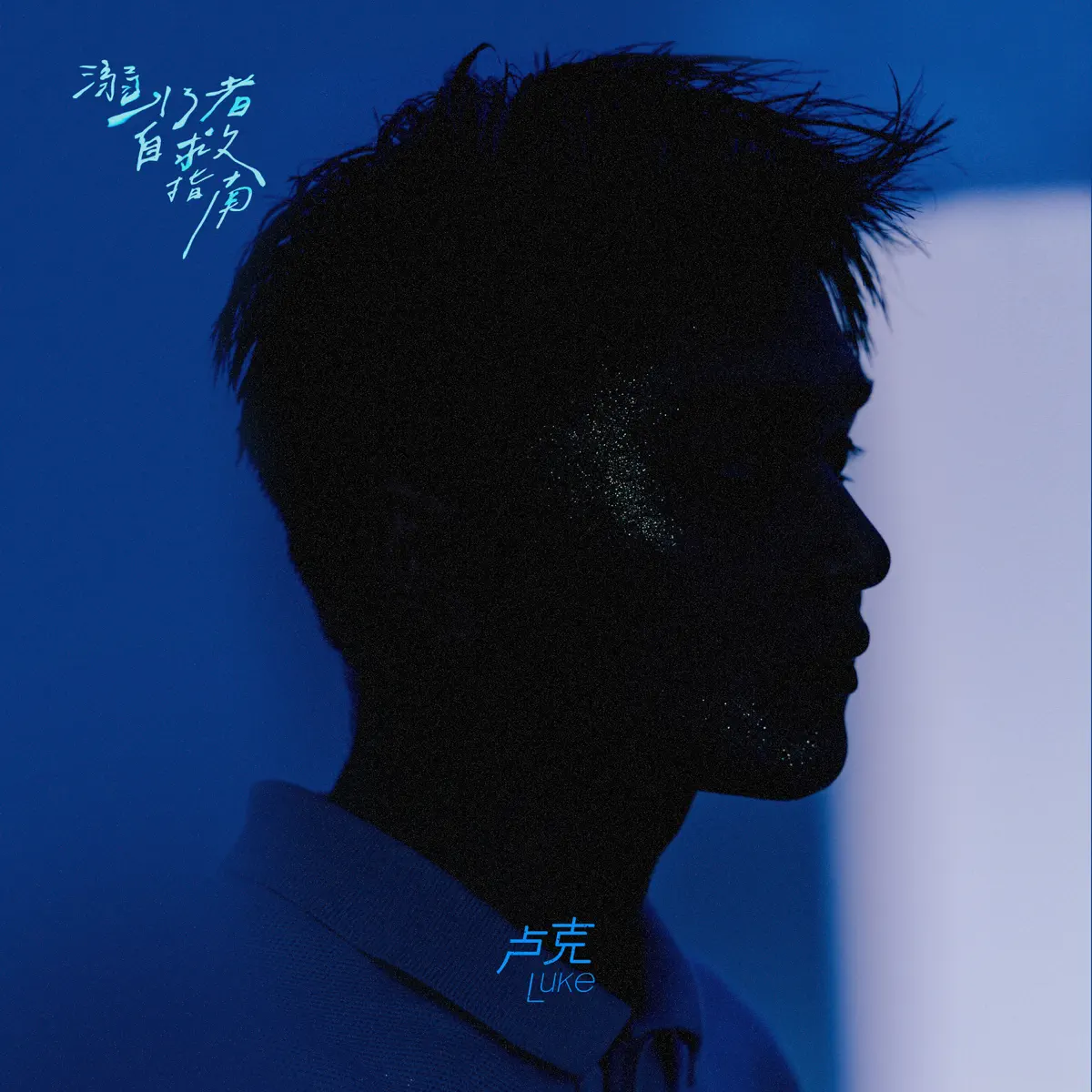 卢克 - 溺水者自救指南 (2025) [iTunes Plus AAC M4A]-新房子