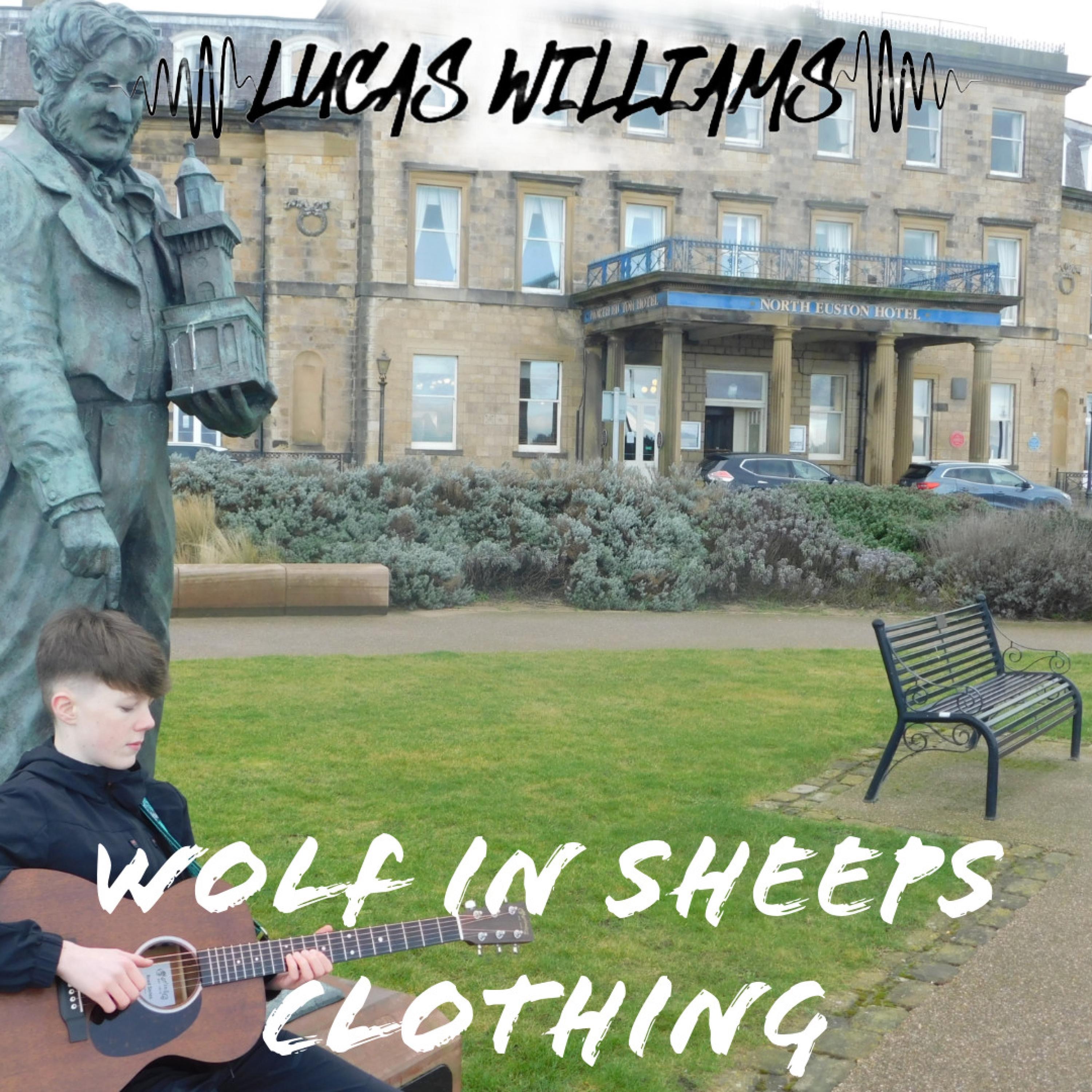 Wolf In Sheeps Clothing - Single