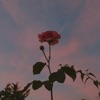 Bloom, Vol. I - Single