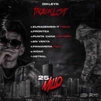 PUNTA CANA (feat. Dikleyn) - Single - Amon_Becker