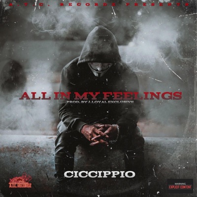 All In My Feelings