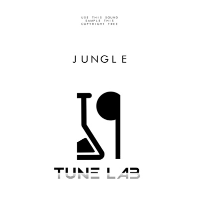 Jungle - Single