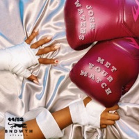 Met Your Match - Single - Josh Waters