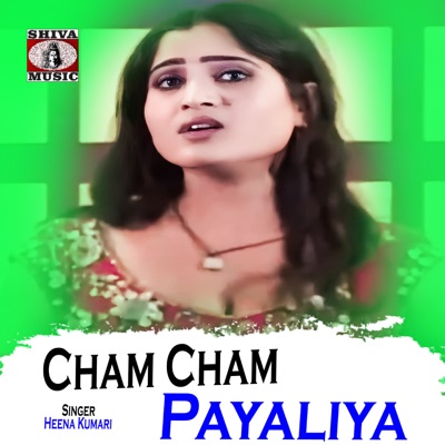 Cham Cham Payaliya - Single