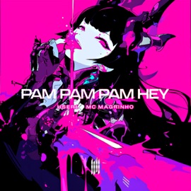 PAM PAM PAM HEY (SLOWED) USER1 & Mc Magrinho