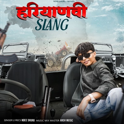 HARYANVI SLANG - Single