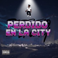 PERDIDO EN LA CITY (feat. RSanthy & Nardx) - Single - B'OG Blunt