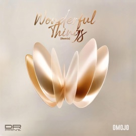Wonderful Things (Live version) Dr. Prinz & Omojo