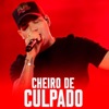 BREGA HITS - CHEIRO DE CULPADO