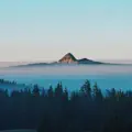 Release from silence