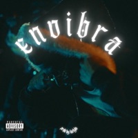 Envibra (feat. Katylo) - Single - Fuckthom