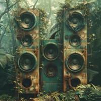 Show Me the Light - Single - DixonBeats & Haz3