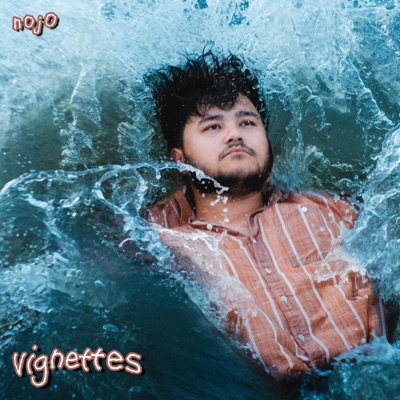 vignettes