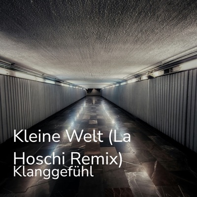 Kleine Welt (La Hoschi Remix) - Single